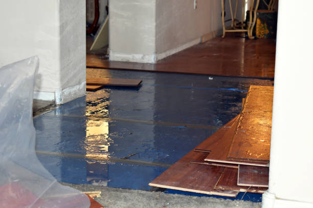 Professional Storm Water Damage Restoration technician working in Warrington, FL